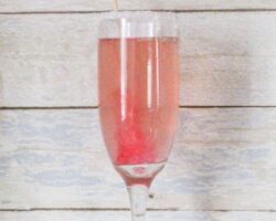 champagne glass with pink champagne margarita